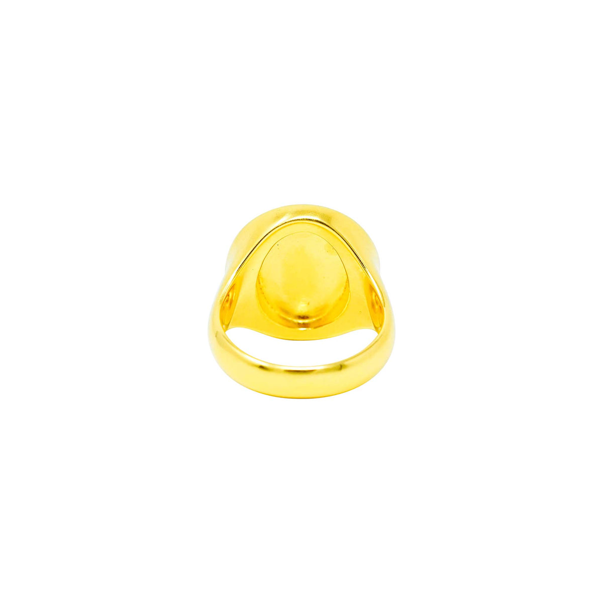 👑 Lion Signet Ring Gold Plating – Symbol of Power